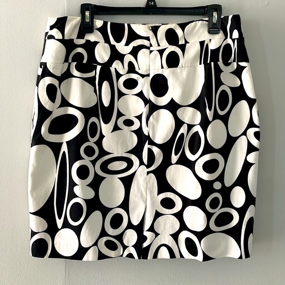 Camille La Vie Lining Skirt EUC - Picture 2 of 6